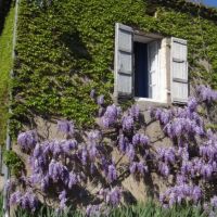 Haus zu verkaufen in Frankreich - 03-zijgevel wisteria.jpg